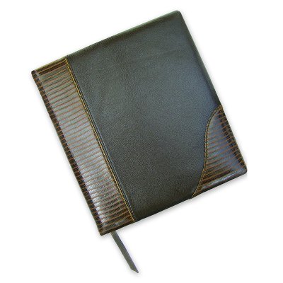 Agenda Ejecutiva Culebrilla